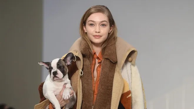 Gigi Hadid and a modelesque dog n the Tod's runway